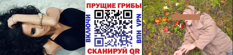 сайты даркнета Telegram что такое Соликамск Галлюциногенные грибы GOLDEN TEACHER